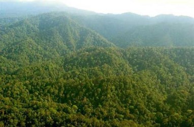 Hutan Adat, Kalbar Ajukan Tiga Lembaga Pengelola