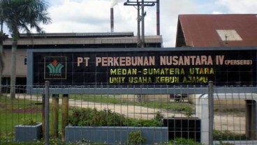 PTPN IV Jauh Lebih Sedikit Remajakan Kebun Sawit
