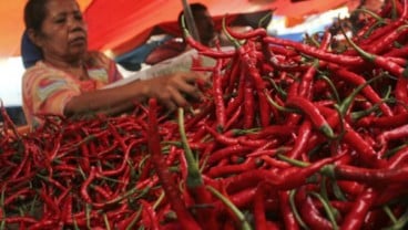 HARGA CABAI MERAH: Di Padang RP35.000/Kg