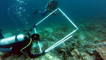 Ini Kronologi MV Caledonian Sky Tabrak Terumbu Karang di Raja Ampat