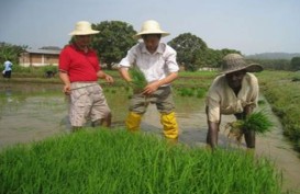 Benih Bioteknologi Jadi Fokus CropLife