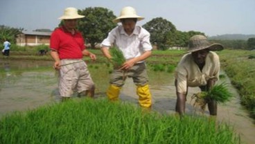 Benih Bioteknologi Jadi Fokus CropLife