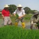 Benih Bioteknologi Jadi Fokus CropLife