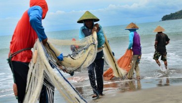 Nelayan Eks-Cantrang Pantura Bergeser ke Arafura dan Natuna. Ini Hasilnya