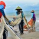 Nelayan Eks-Cantrang Pantura Bergeser ke Arafura dan Natuna. Ini Hasilnya