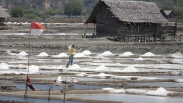 Pemprov Jateng Berencana Dirikan Pabrik Garam Dengan APBD