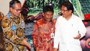 HASIL PENELITIAN: Sawit Bukan Pemicu Deforestasi