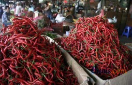 Harga Cabai Merah di Sejumlah Kabupaten dan Pasar Induk Turun