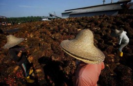 39,31%  Ekonomi Riau Ditopang Sawit