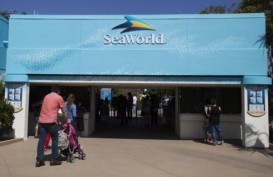 Perusahaan China Akuisisi 21% Saham SeaWorld