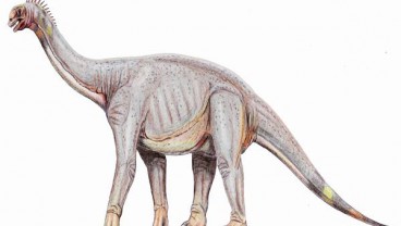 Jejak Kaki Dinosaurus Terbesar Di Dunia Ditemukan