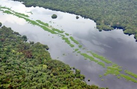 REFORMA AGRARIA: DPR Janji Kawal Pelepasan Hutan untuk Rakyat Kecil