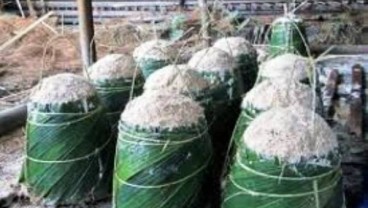 Riau Belum Maksimal Garap Potensi Ekonomi Sagu