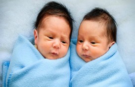 Ternyata, Ini Penyebab Makin Banyak Anak Kembar