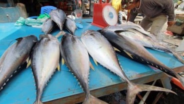 ARPI Ajak Pemda Hidupkan Kembali Tempat Pelelangan Ikan Mangkrak