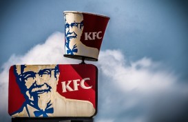 Jaringan KFC Batasi Pemakaian Antibiotik pada Ayam