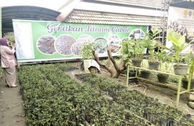 Manfaatkan Pekarangan, Masing-Masing Kelompok Kantongi Rp20 Juta