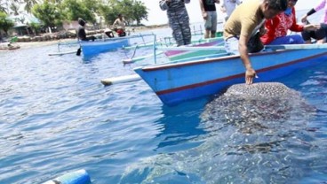 Gorontalalo Sasar Kunjungan Turis Mancanegara 4 Kali Lipat