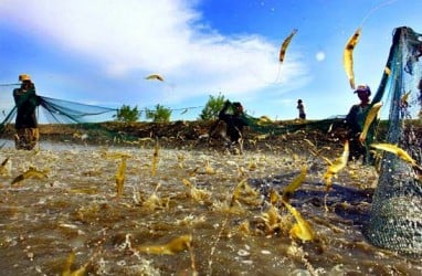 PNBP Perikanan Baru Terealisasi 9%