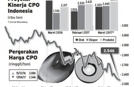 Info Grafis: Harga CPO Berpotensi Kembali Menguat