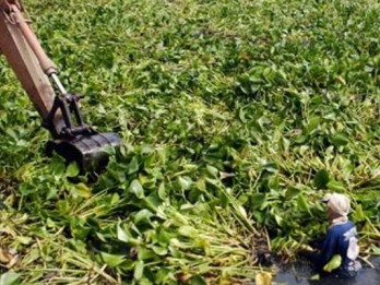 Terjebak Eceng Gondok, Belasan Orang di Danau Tondano Dievakuasi