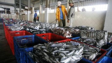 Perindo Akan Gandakan Serapan Ikan Dari Nelayan