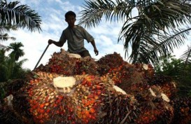 Saatnya Dorong Diversifikasi Produk CPO