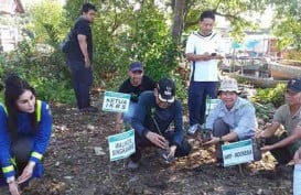Pesisir Utara Kalbar Diramaikan Aksi Tanam Mangrove