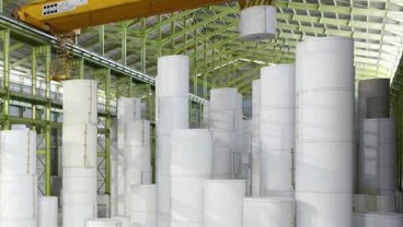 Warga Desa Riding Ikut Pasok Bahan Baku ke Pabrik OKI Pulp & Paper Mills