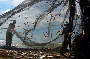 JAPFA Kampanyekan Budaya Makan Ikan