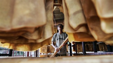 Peremajaan Kebun Karet Dinilai Lambat