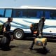 Tata Kelola Bus Pariwisata Harus Dibenahi