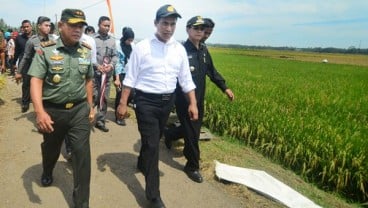 Kementan Optimis Cetak 80.000 Ha Sawah Baru pada 2017