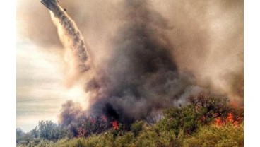 Kebakaran Hutan: Arizona Hadapi Bahaya Besar