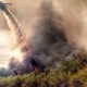 Kebakaran Hutan: Arizona Hadapi Bahaya Besar