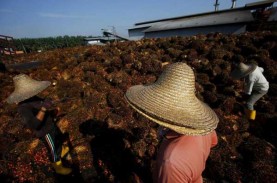 Laba Emiten Perkebunan Grup Indofood Ini Melonjak…