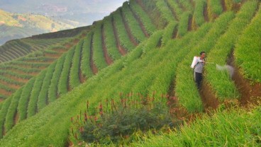 April 2017, Kesejahteraan Petani NTB Turun 0,66%