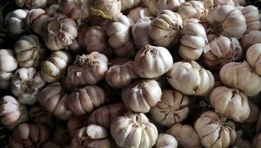 Jelang Ramadan, Harga Bawang Putih Melonjak di Padang