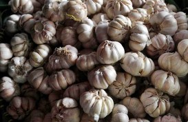 Jelang Ramadan, Harga Bawang Putih Melonjak di Padang