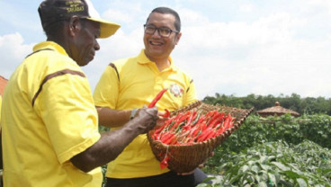 Luncurkan 5 Varietas Baru, Ewindo Telah Terapkan Generation Breeding