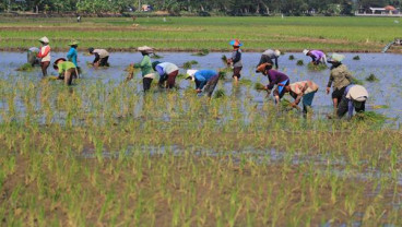 Ekonomi Sumut, Pertumbuhan Lapangan Usaha Pertanian Menciut