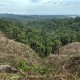 Inpres Moratorium Gambut & Hutan Primer Diusulkan Diperpanjang