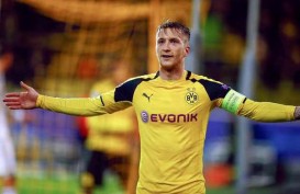 Hasil Liga Jerman, Sabtu (6/5/2017): Dortmund dan Munchen Sama-sama Menang