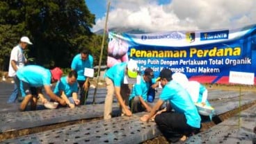 Sembalun Ditarget Jadi Pemasok Bawang Putih Nasional