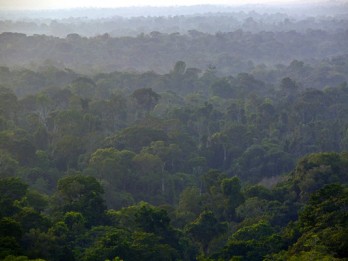 RESTORASI HUTAN: Sumsel Bidik 400.000 Ha