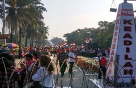 VONIS AHOK: Mawar Merah Putih Terhampar di Lokasi Sidang