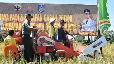 NTB Dorong Pengembangan Sektor Pertanian