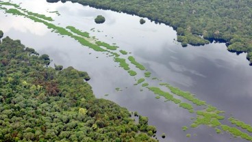 Kemitraan Multipihak Penting untuk Restorasi Hutan