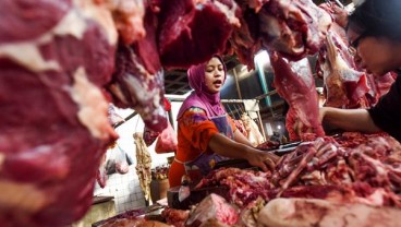 Realisasi Impor Daging Sapi 40.000 Ton