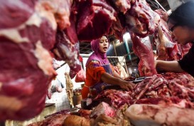 Realisasi Impor Daging Sapi 40.000 Ton